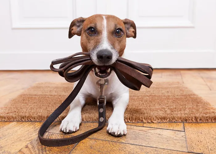 Lägenhet Basecamp Reiteralm *